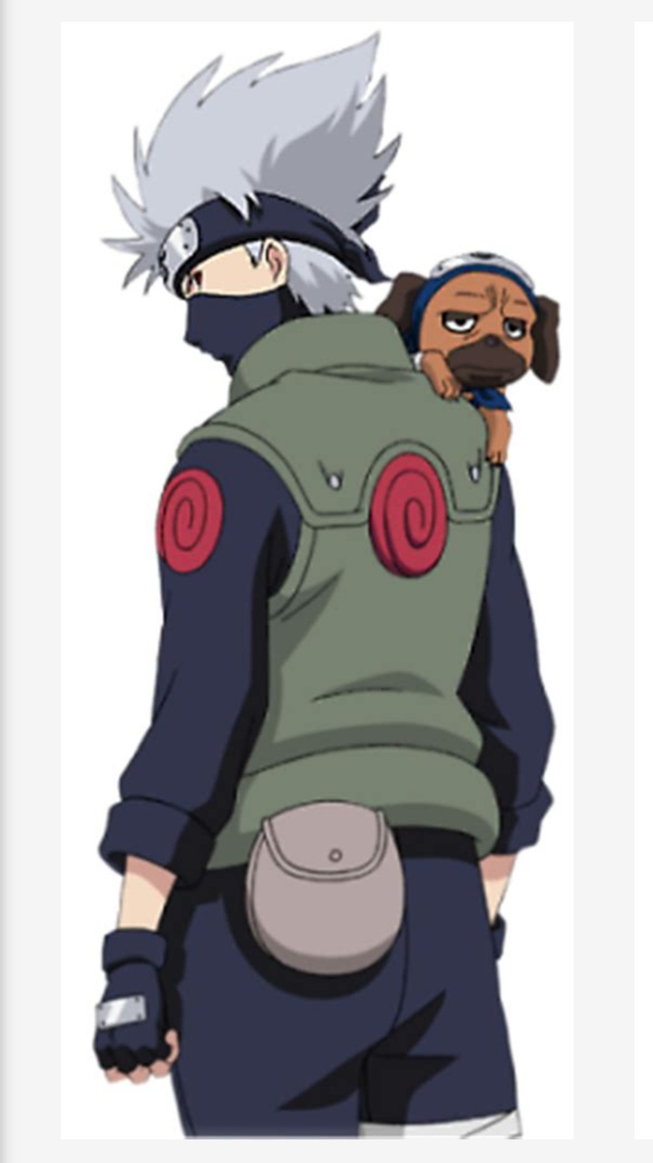 kakashi fonds d'écran