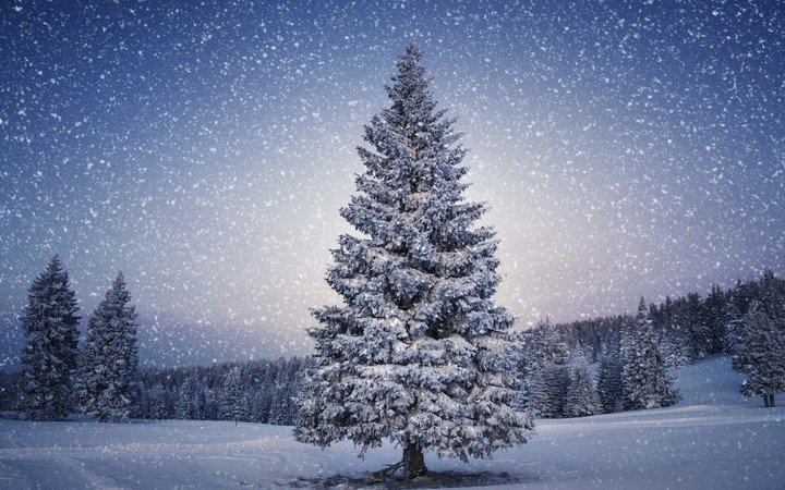 Winter