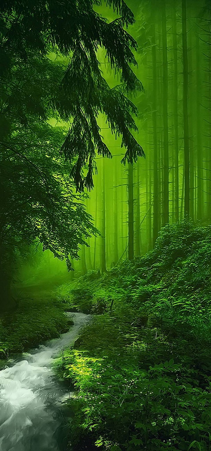 Green forest