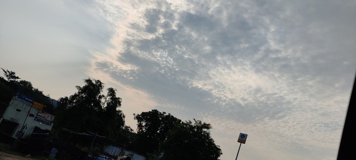 Beautiful Nature