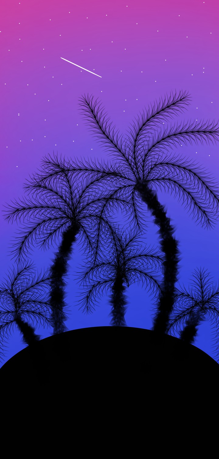 night sky ✨?