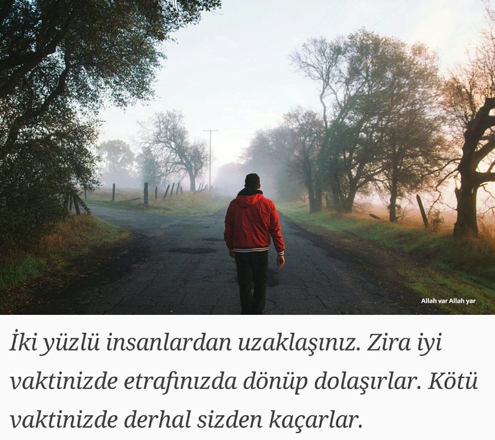 Hz.Ali sözleri