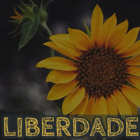 liberdade