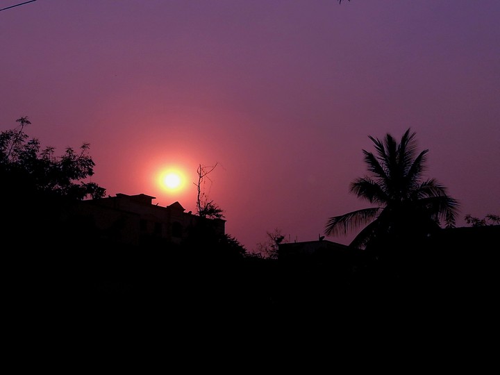 lit sunset 