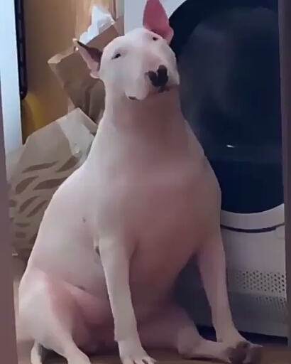 кайф)))