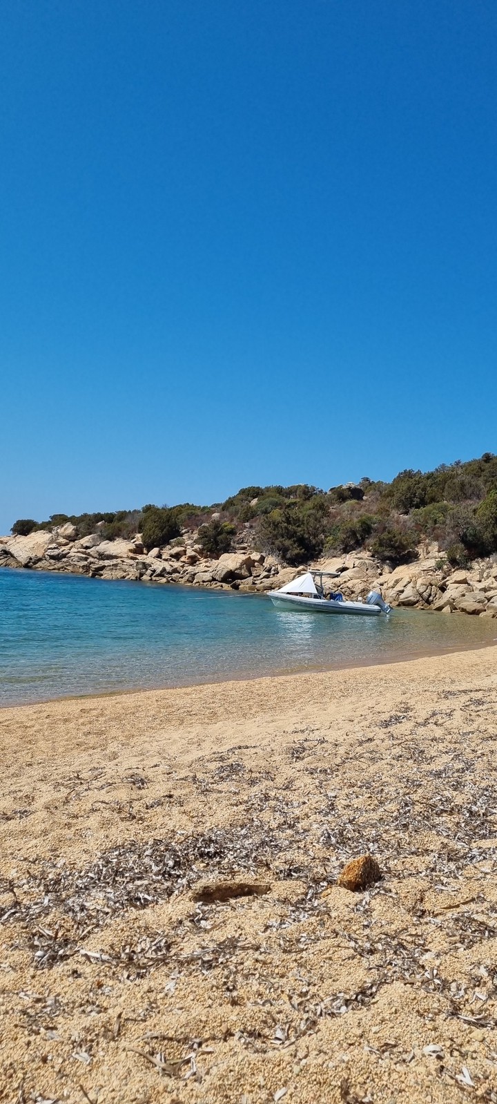 Corse