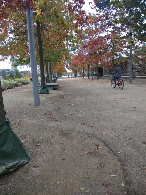 autumn path