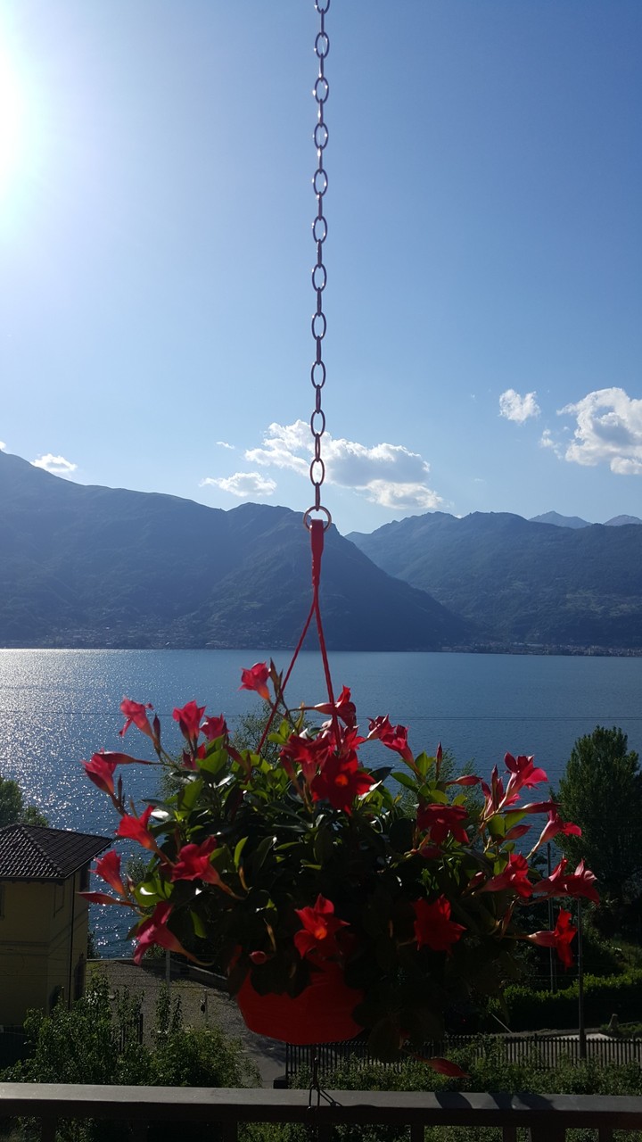 La magia dei fiori