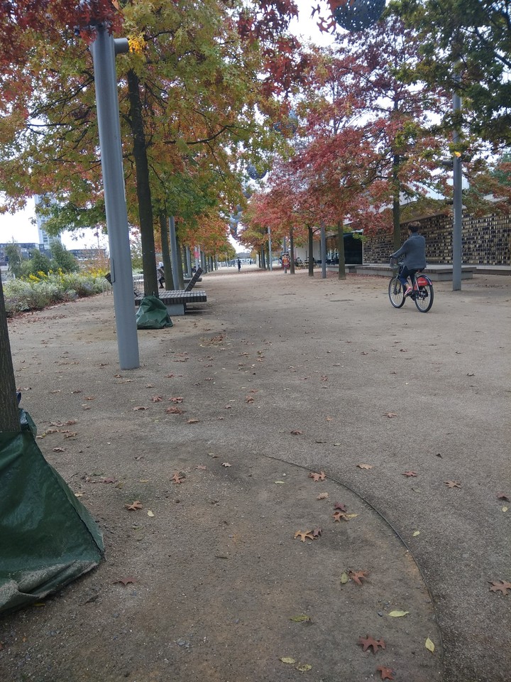 autumn path