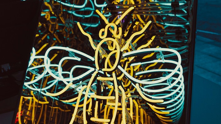 Bee neon