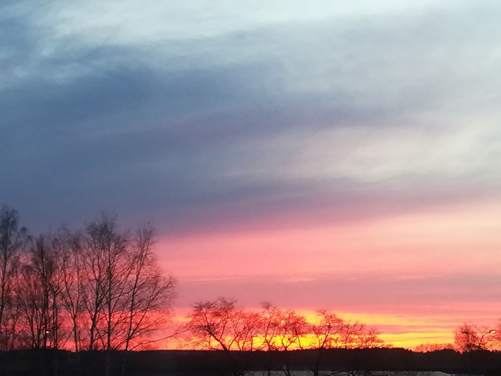 заказ
