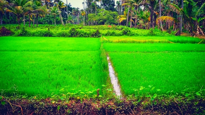 Nature at its best