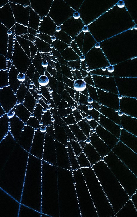 Drops