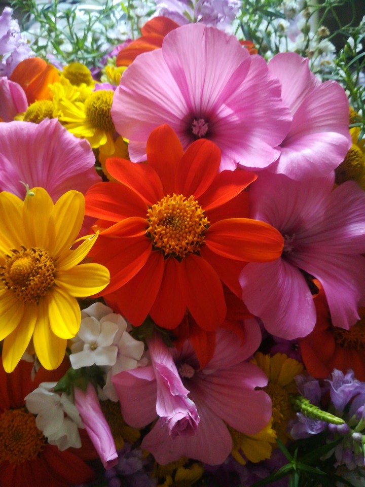 Flowers