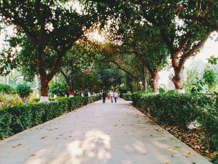 Peaceful Road