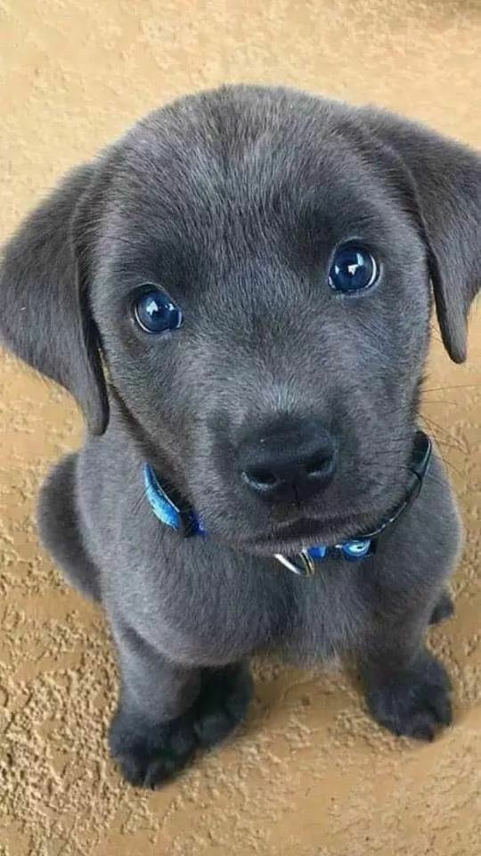 11-10-2020%00
