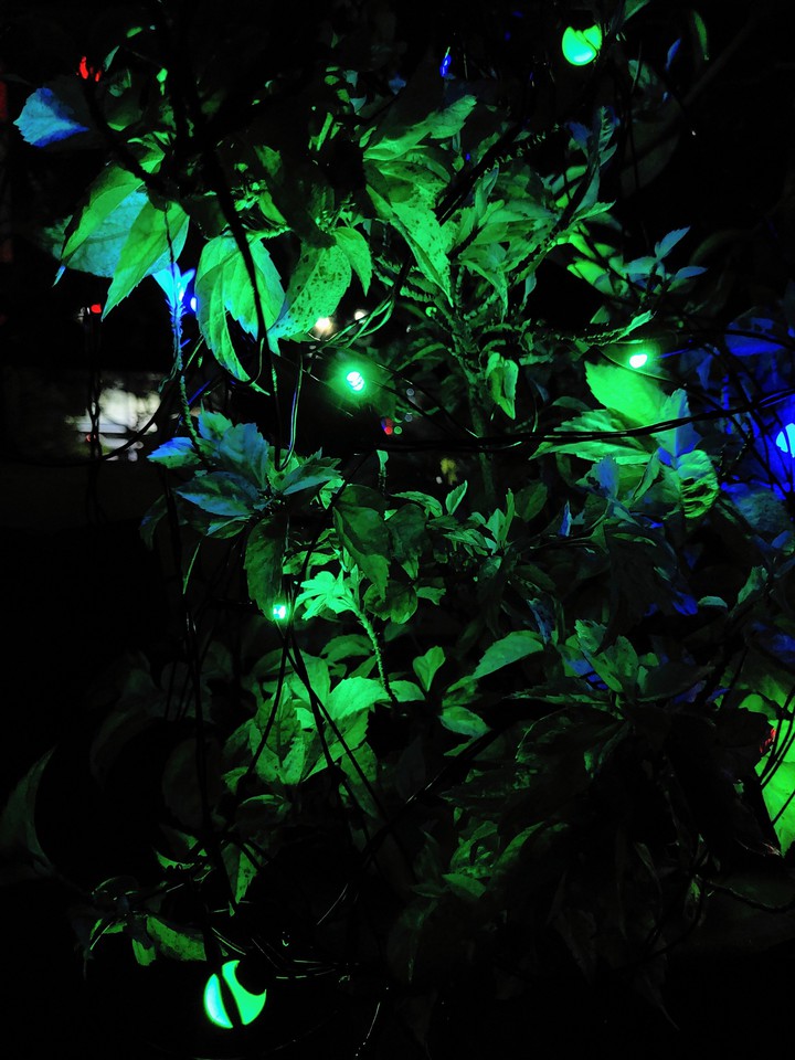 lights