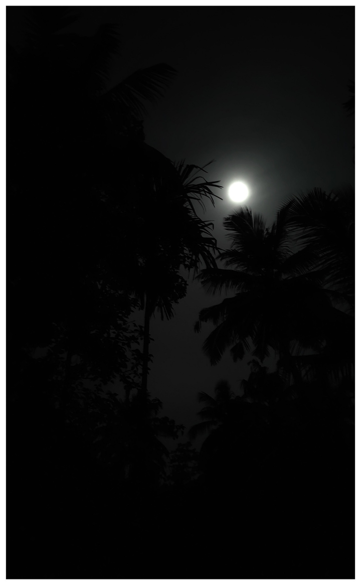 nigth