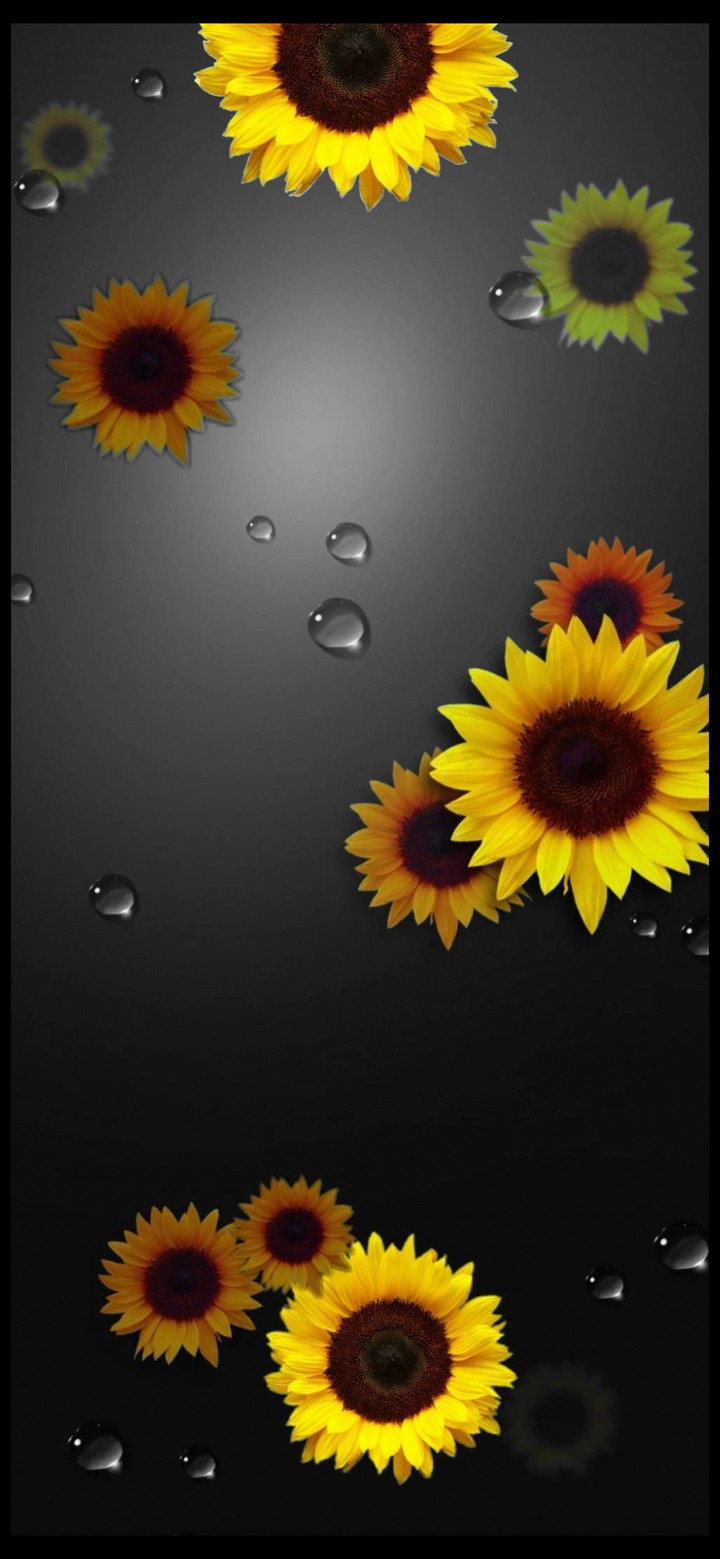 Sunny Tears