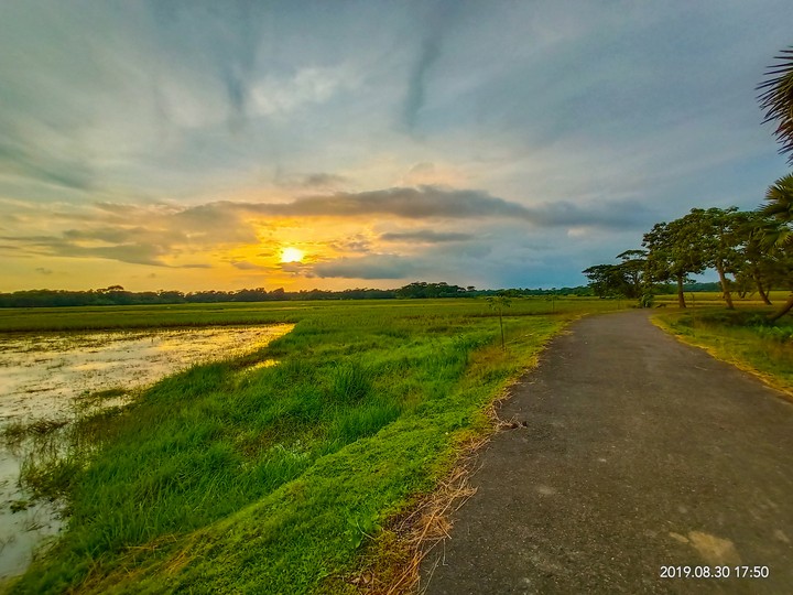 sunset