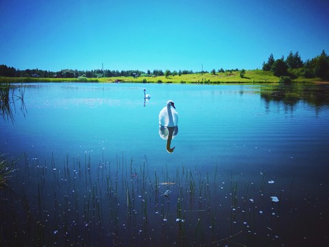 reflection, reservoir háttérképek