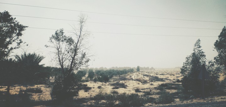 desert