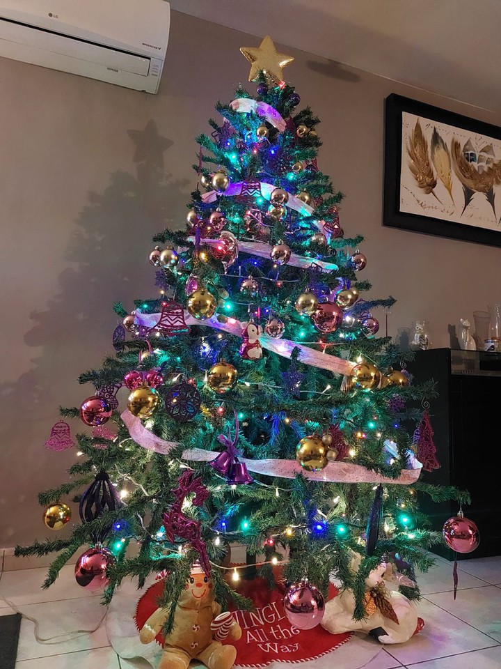 mi pino de Navidad.