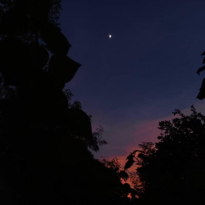eve