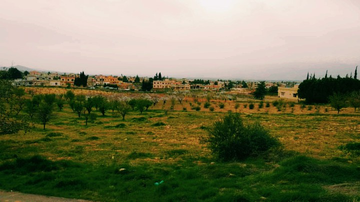 nature