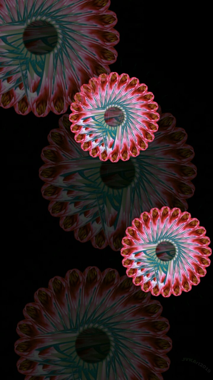 Artistic flowers 314