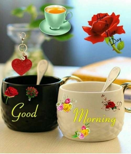 gm