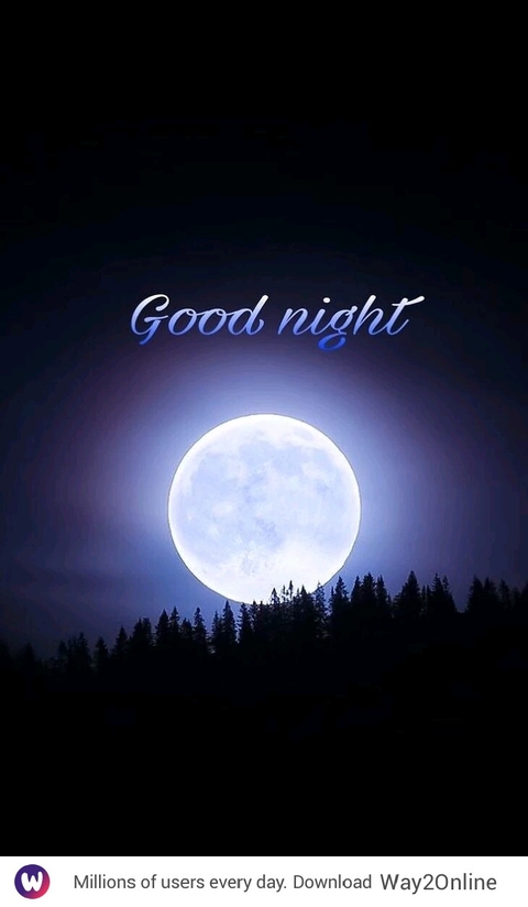 good night