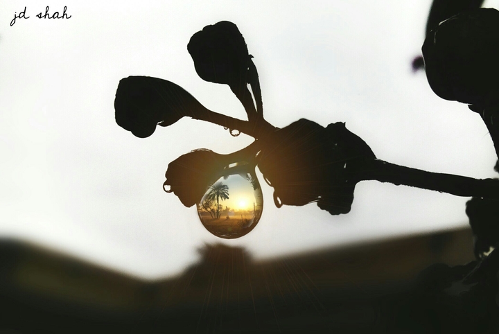 drop of dreams
