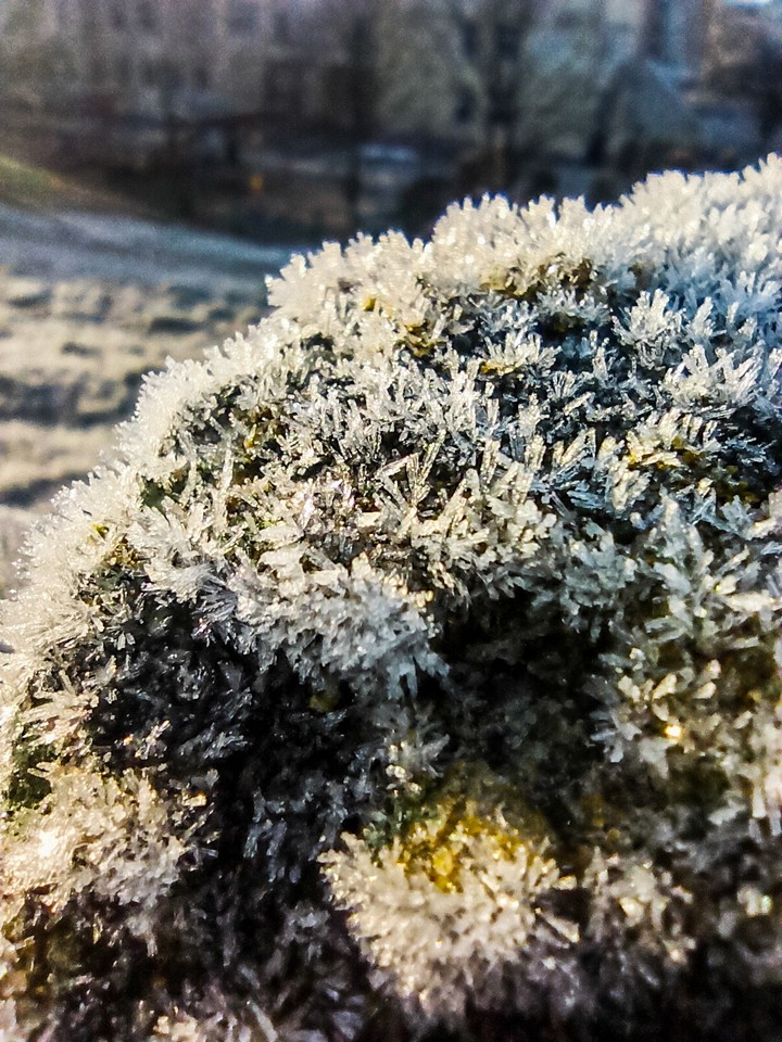 frost