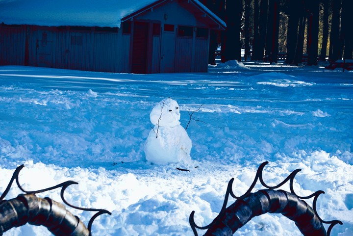 Lone Snowman