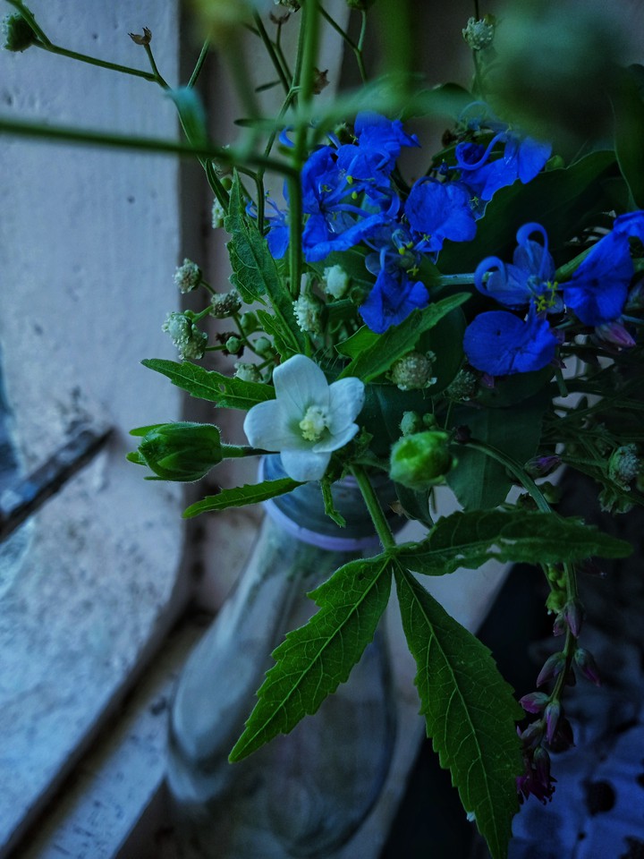 flower