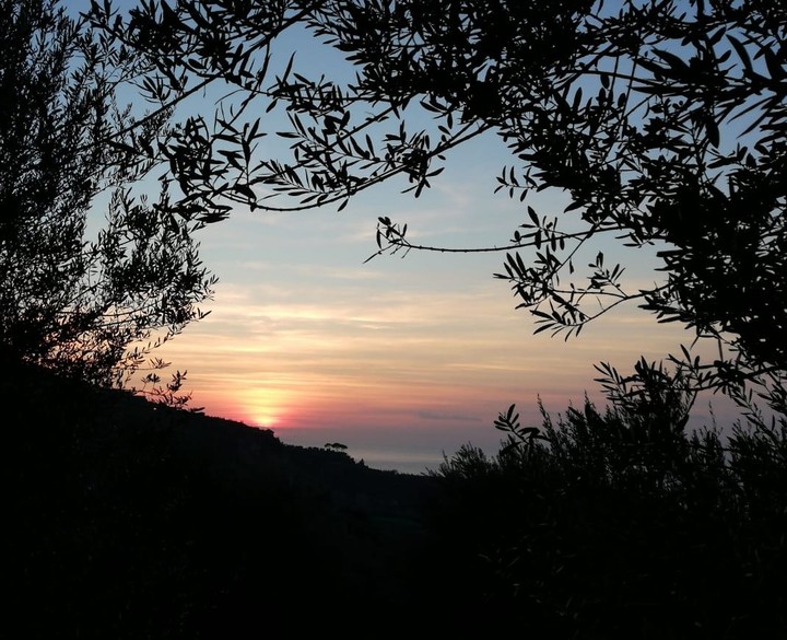 Sorrento coast