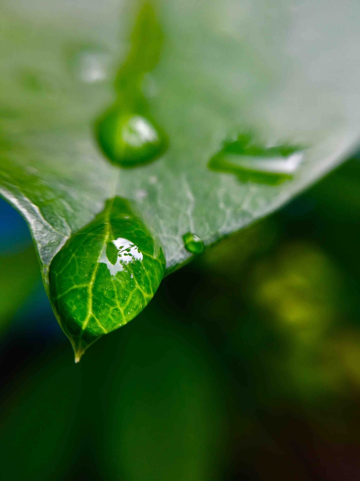 dRoplet