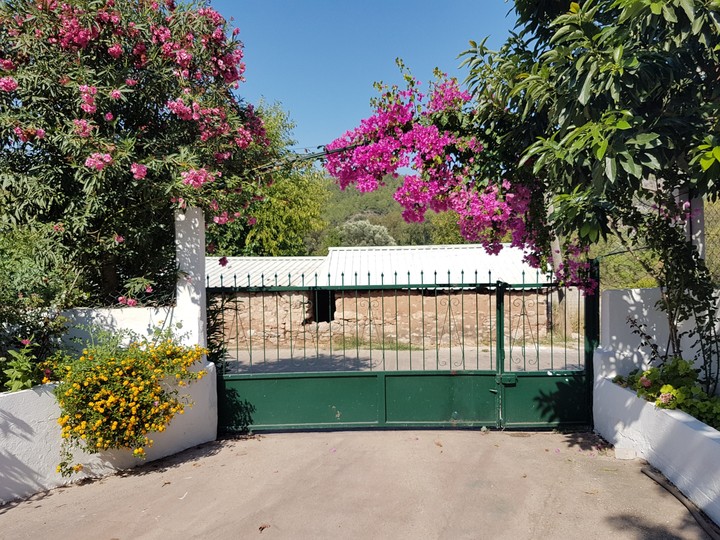 gate