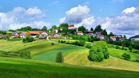 grass, grassland háttérképek