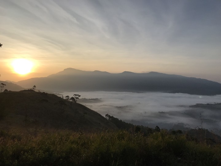 Early sun