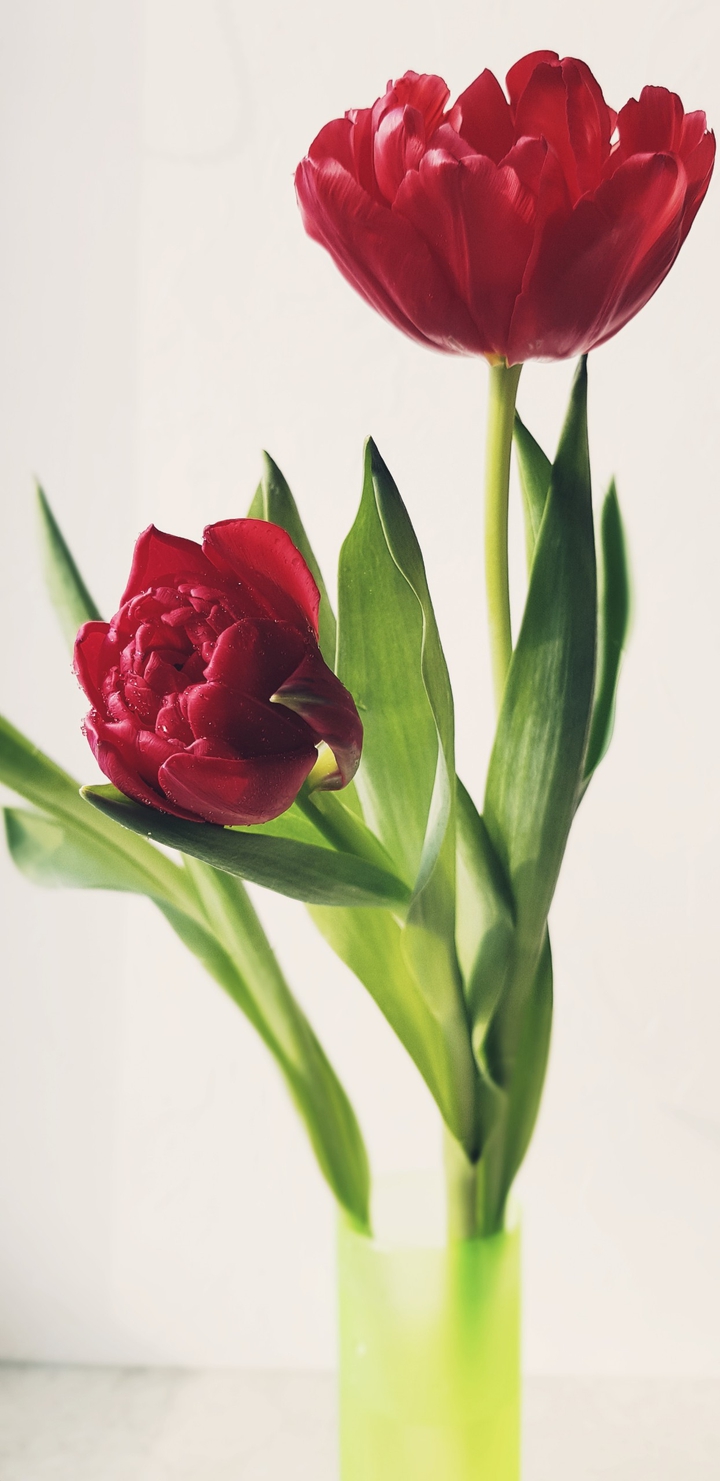 spring is coming