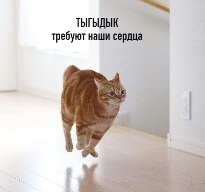 тыгыдык