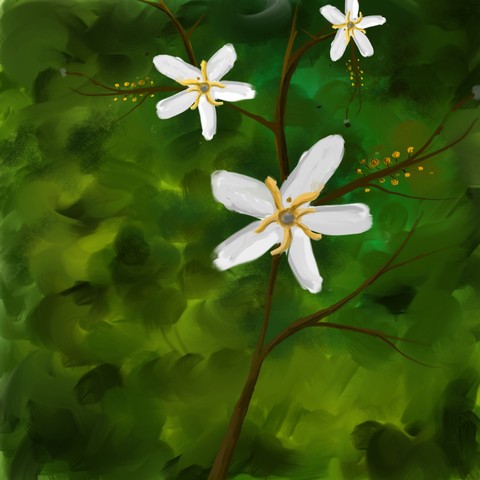 Flowers Painting