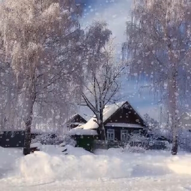 Nature ❄️❄️❄️