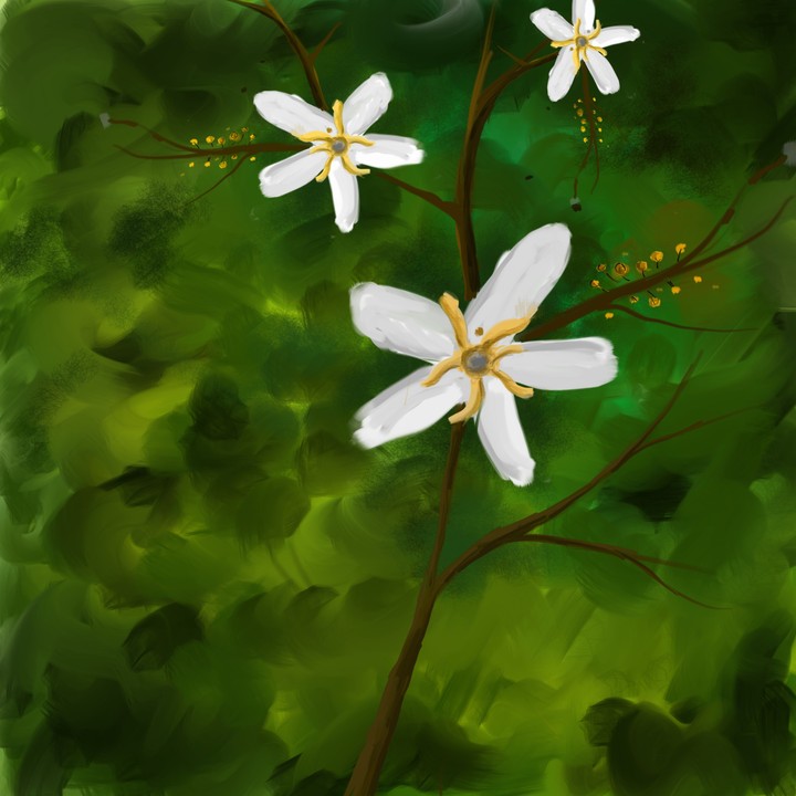 Flowers Painting