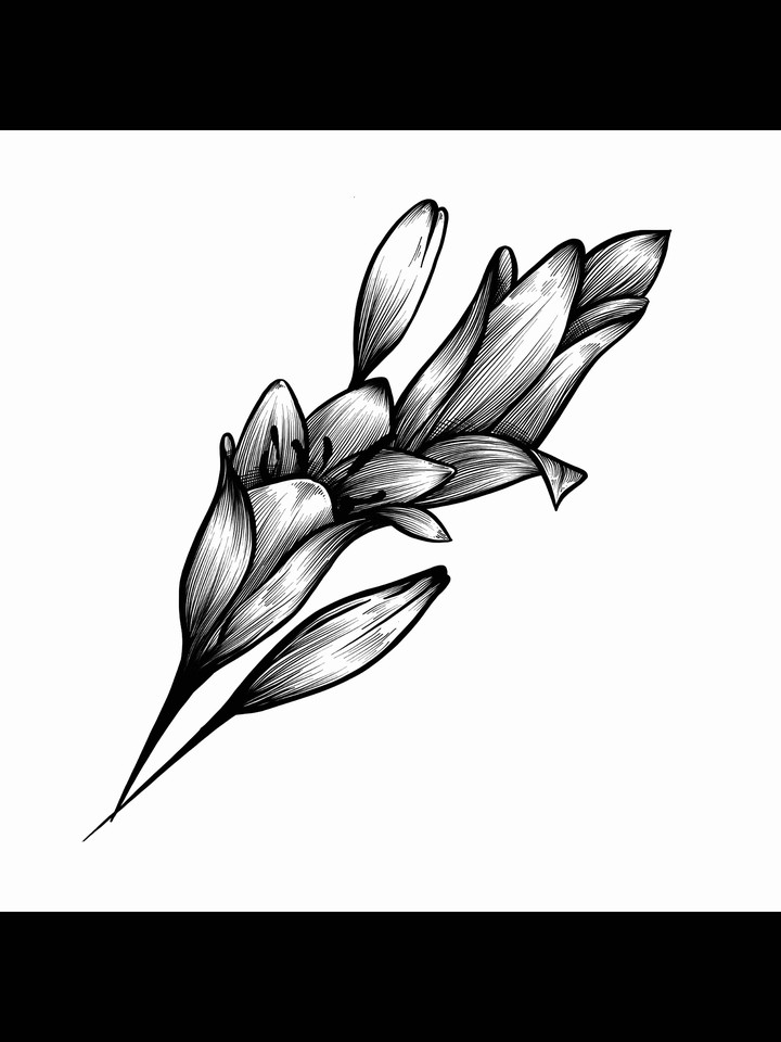 lilies