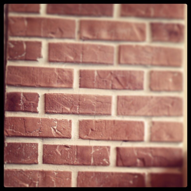 bricks