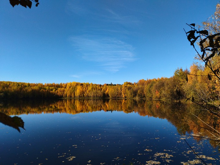 Autumn