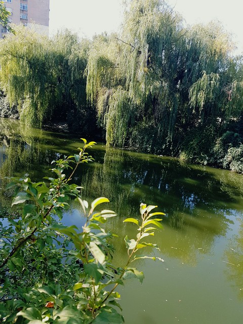 river